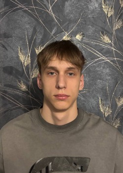 Чижик