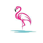 Flamingo Flamingo