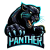 Panthers