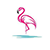 Flamingo Flamingo