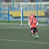 0124-alf-international-2016