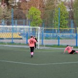 0126-alf-international-2016