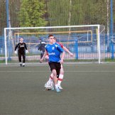 0145-alf-international-2016