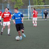 0146-alf-international-2016