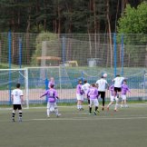 0185-alf-international-2016