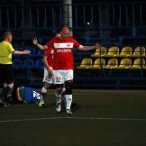 0191-alf-international-2016