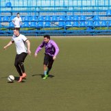 0233-alf-international-2016