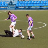 0234-alf-international-2016