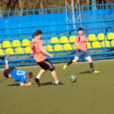 0251-alf-international-2016