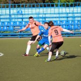 0252-alf-international-2016