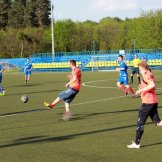 0271-alf-international-2016