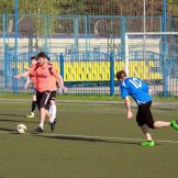 0272-alf-international-2016