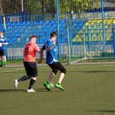 0275-alf-international-2016