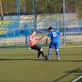 0276-alf-international-2016