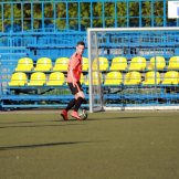 0279-alf-international-2016