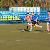 0281-alf-international-2016