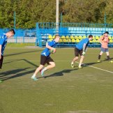 0283-alf-international-2016