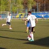 0293-alf-international-2016