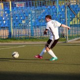 0294-alf-international-2016