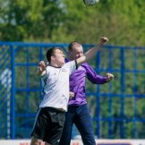 0339-alf-international-2016