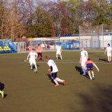 070-alf-international-2016