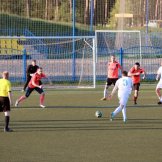 078-alf-international-2016