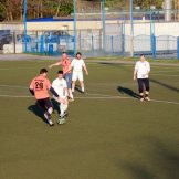 084-alf-international-2016