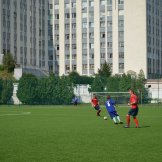 kubok-nezti-274